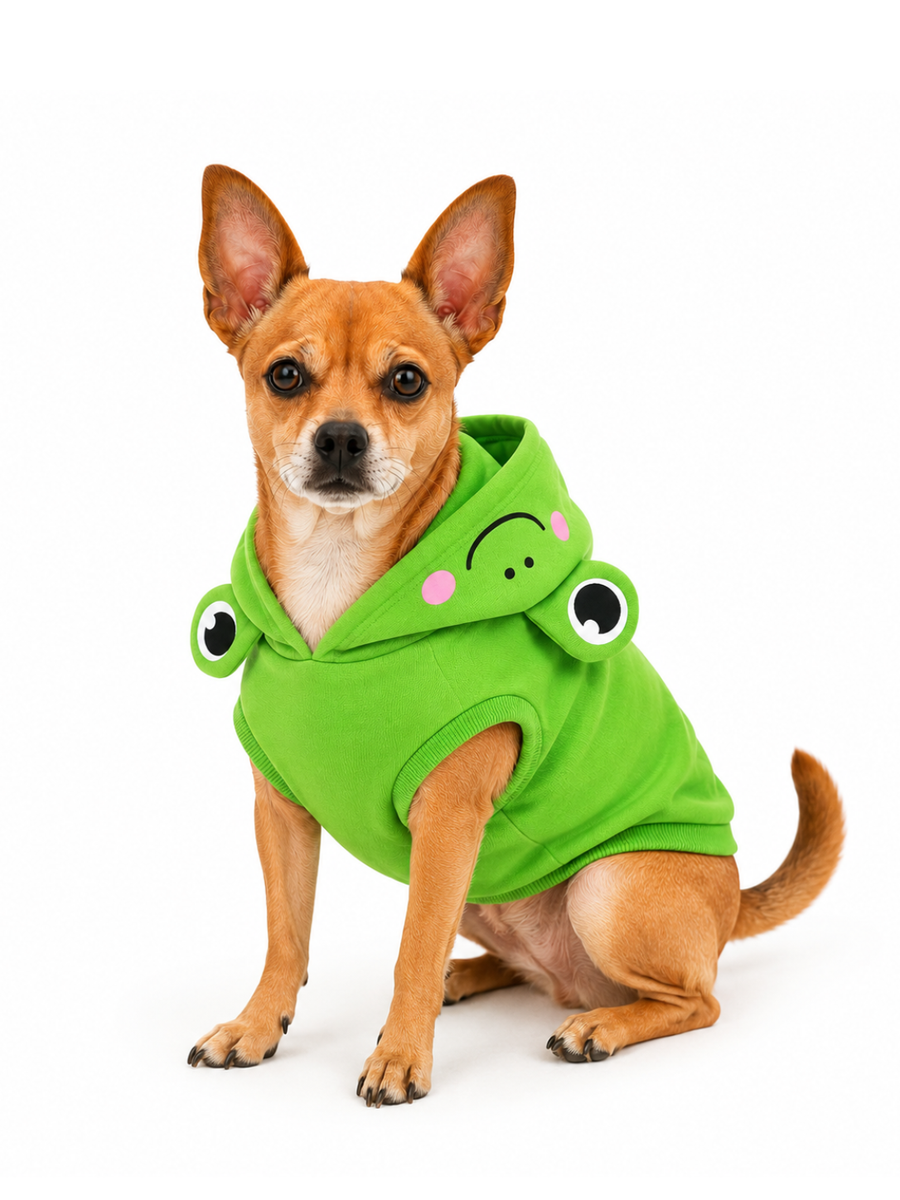 🐸 Rana Safari Hoodie