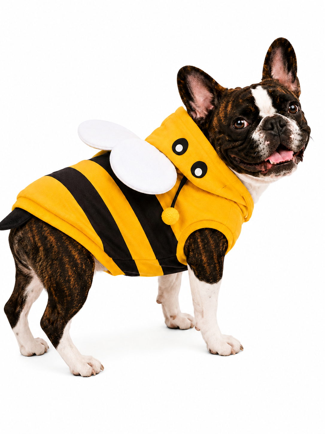 🐝 Avispa Safari Hoodie